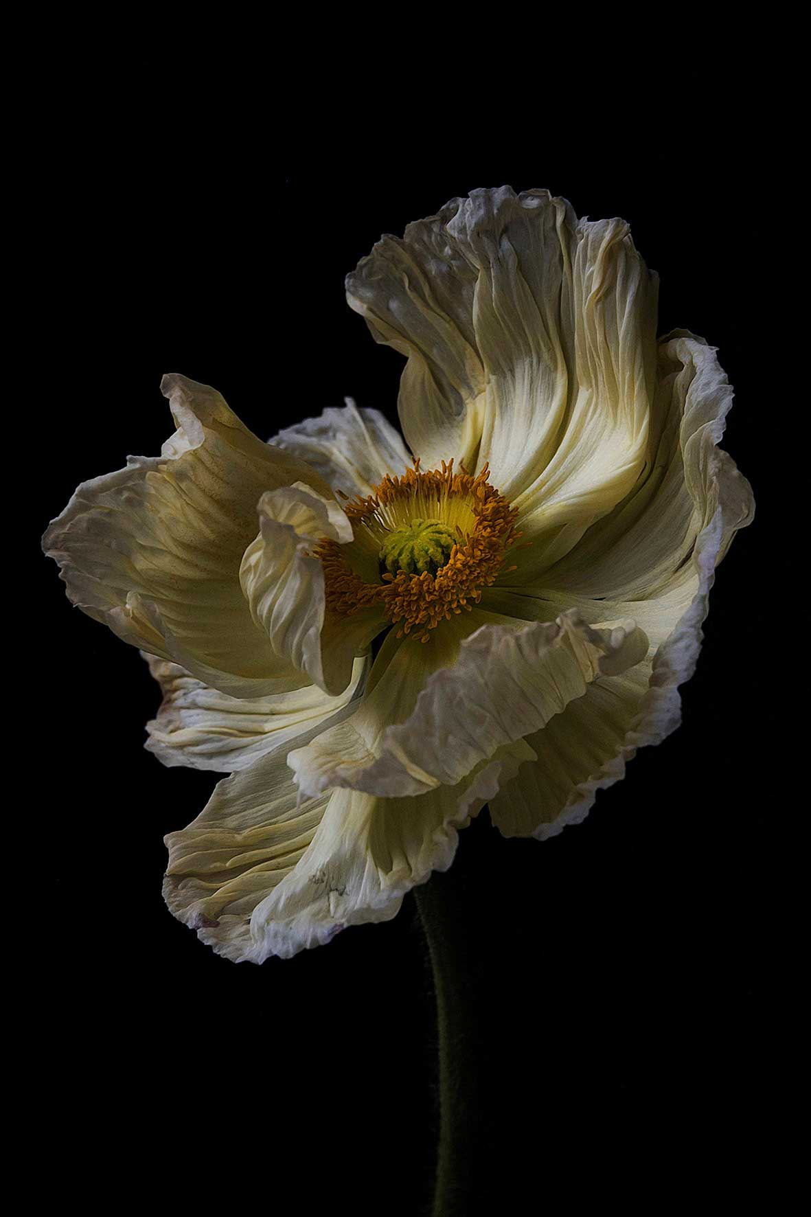 Van Aart